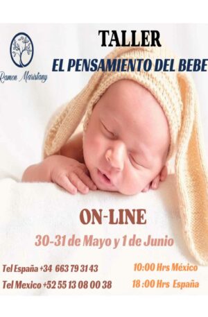 TALLER EL PENSAMIENTO DEL BEBE