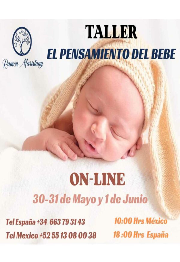 TALLER EL PENSAMIENTO DEL BEBE